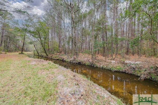 127 Winding Way Rd, Pembroke, GA 31321 - water view