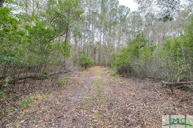 127 Winding Way Rd, Pembroke, GA 31321 - view of street featuring a view of trees