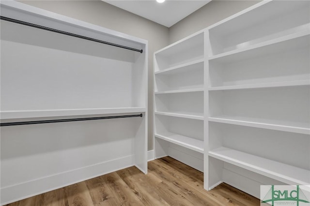 walk in closet featuring wood-type flooring