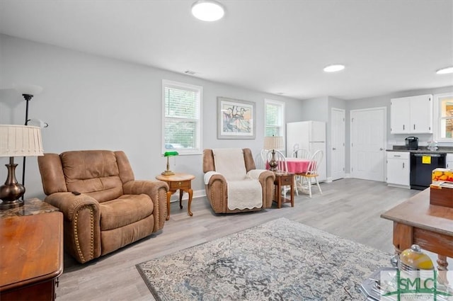 living room featuring light wood finished floors