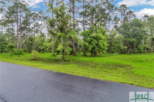 Listing photo 2 for LOT732 Coopers Point Dr NE, Townsend GA 31331