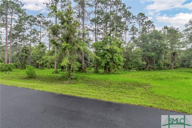 Listing photo 3 for LOT732 Coopers Point Dr NE, Townsend GA 31331