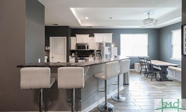 kitchen featuring a tray ceiling, tasteful backsplash, a kitchen bar, white cabinetry, and stainless steel appliances