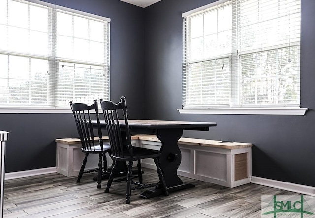 dining space featuring hardwood / wood-style floors