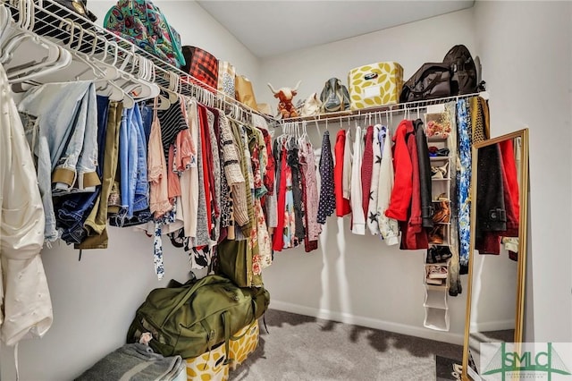 spacious closet with carpet floors