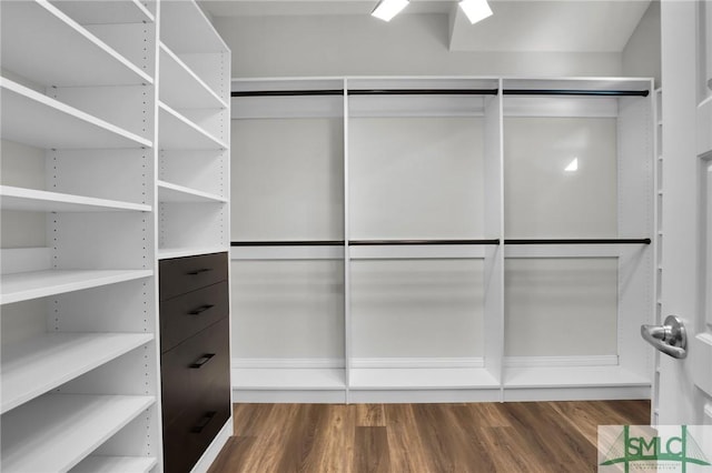 walk in closet featuring dark wood-style floors