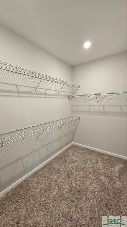 walk in closet with carpet