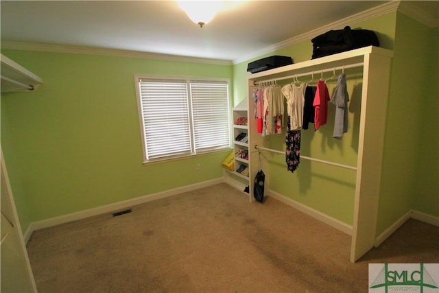 spacious closet with carpet floors