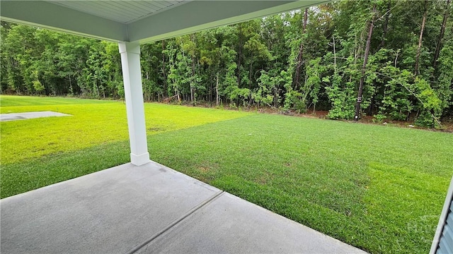 174 Brookline Dr, Savannah, GA 31407 - view of green lawn with a patio area and a view of trees