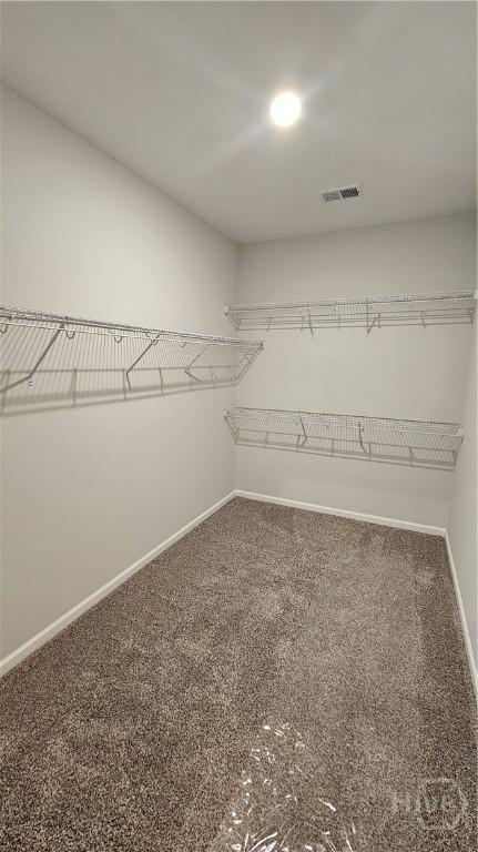174 Brookline Dr, Savannah, GA 31407 - walk in closet featuring carpet