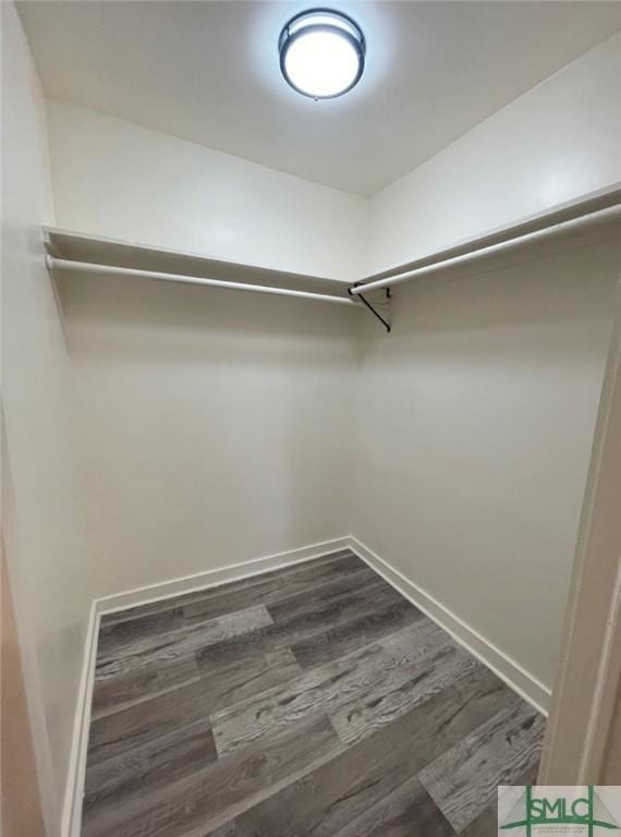 walk in closet featuring dark hardwood / wood-style flooring