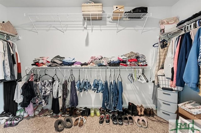 spacious closet with carpet