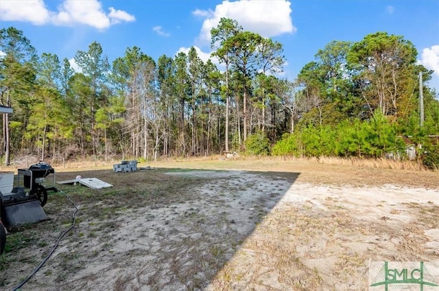 137 William Way, Springfield, GA 31329 - view of yard