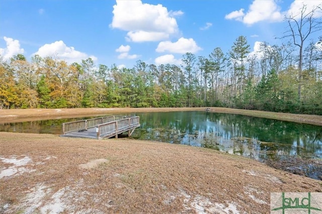 137 William Way, Springfield, GA 31329 - dock with a water view and a forest view