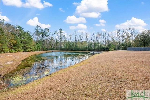 137 William Way, Springfield, GA 31329 - water view with a heavily wooded area