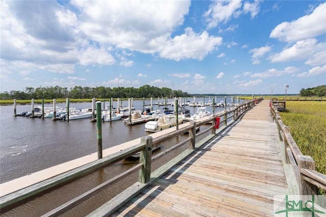 dock area with a water view