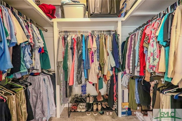 walk in closet with carpet floors