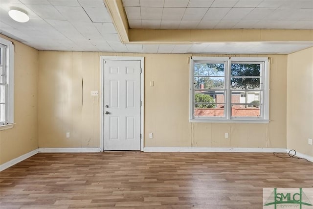 empty room with light wood-type flooring