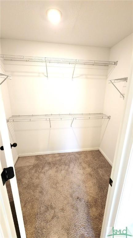 spacious closet featuring carpet floors