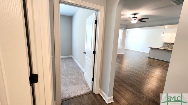 corridor featuring sink, ornamental molding, and dark wood-type flooring