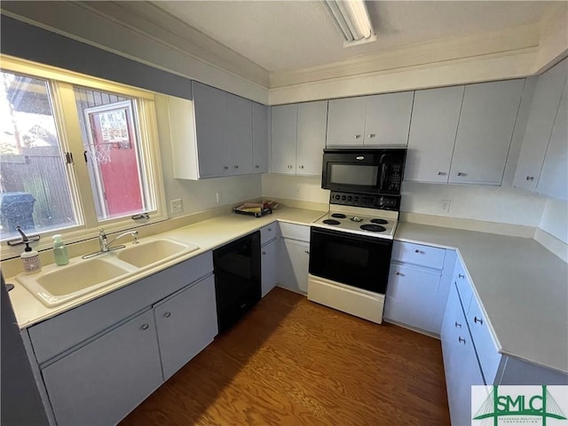 kitchen featuring dark wood-type flooring, sink, gray cabinetry, and black appliances