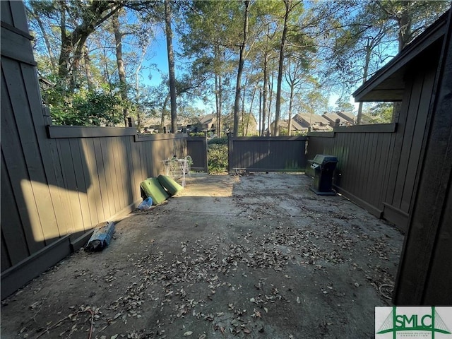 view of yard featuring a patio area