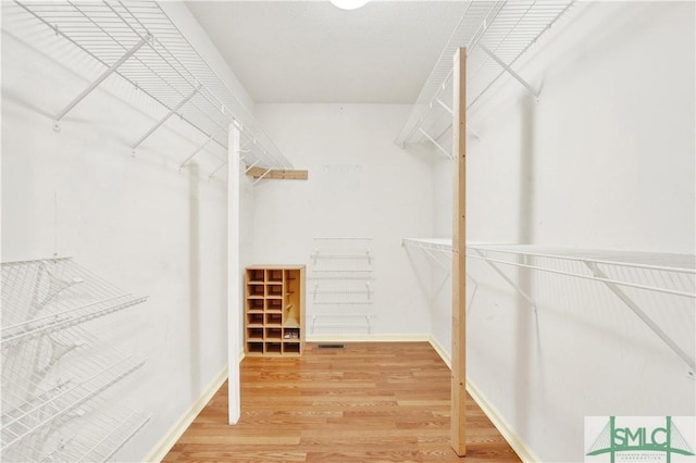 walk in closet with hardwood / wood-style floors