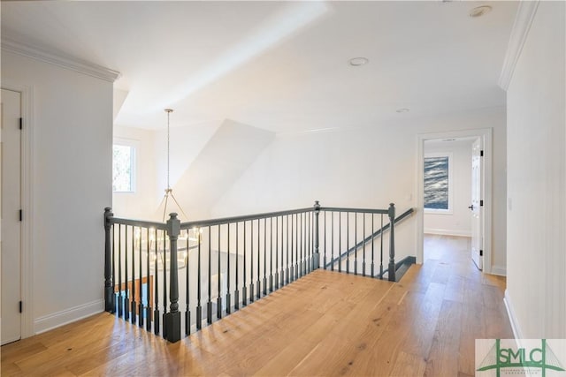 hallway featuring hardwood / wood-style flooring and crown molding