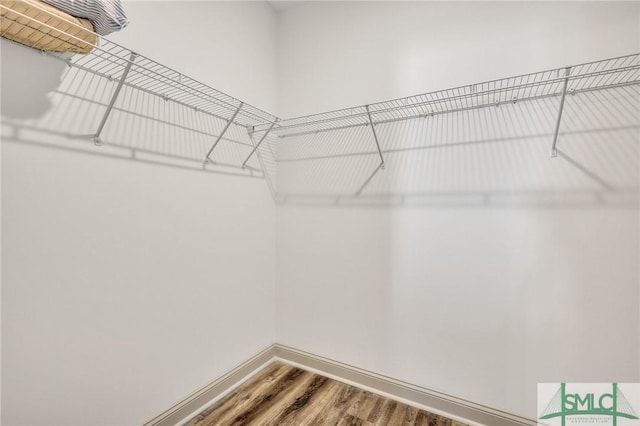 spacious closet featuring wood-type flooring