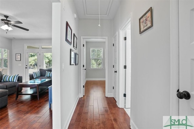 corridor with a healthy amount of sunlight and dark wood-type flooring