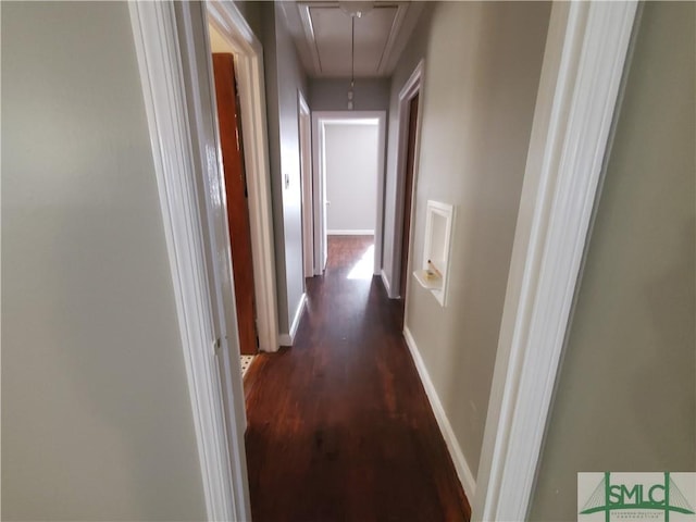 hall with dark hardwood / wood-style floors