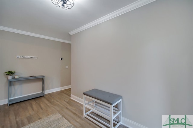 interior space featuring ornamental molding and light wood-type flooring