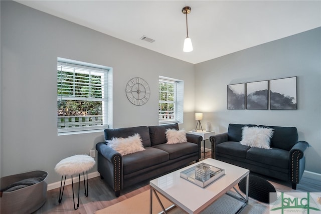 living room with hardwood / wood-style flooring