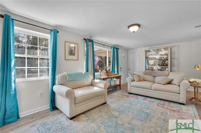 living room with light wood-type flooring