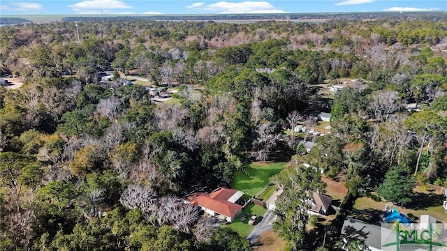 bird's eye view