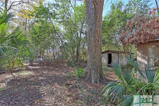 view of yard with a storage shed