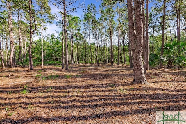 2290 Hunters Loop S, Hardeeville, SC 29927