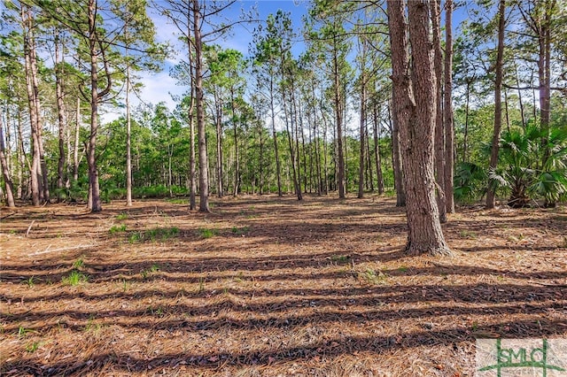 2290 Hunters Loop S, Hardeeville SC, 29927 land for sale