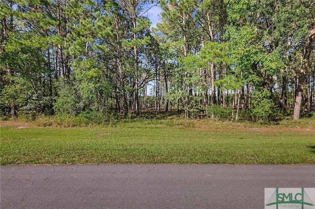 Listing photo 2 for 2290 Hunters Loop S, Hardeeville SC 29927