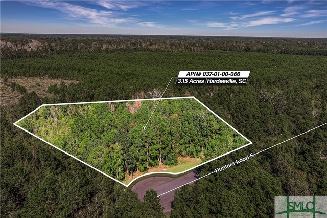 2290 Hunters Loop S, Hardeeville, SC 29927