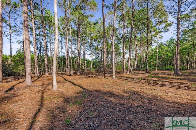 2290 Hunters Loop S, Hardeeville, SC 29927