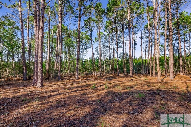 2290 Hunters Loop S, Hardeeville, SC 29927