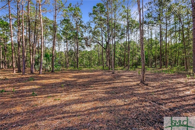2290 Hunters Loop S, Hardeeville, SC 29927
