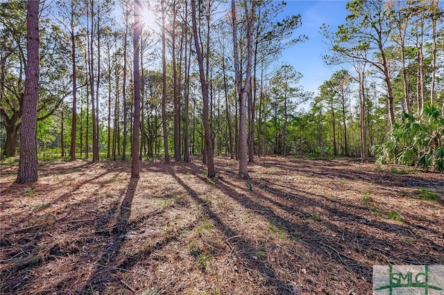 2290 Hunters Loop S, Hardeeville, SC 29927