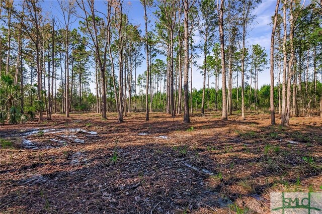 2290 Hunters Loop S, Hardeeville, SC 29927