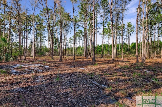 2290 Hunters Loop S, Hardeeville, SC 29927