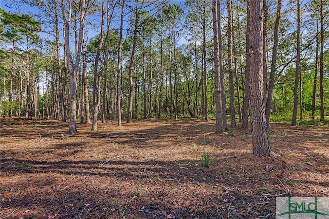 2290 Hunters Loop S, Hardeeville, SC 29927