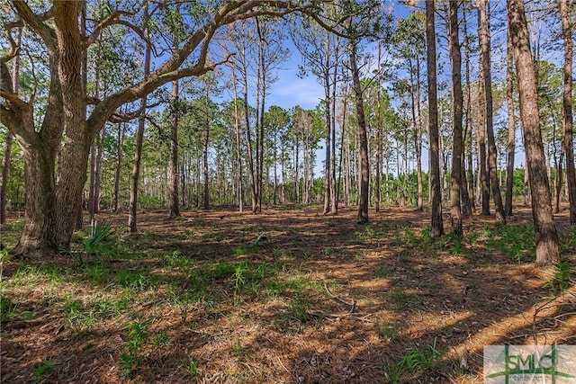 2290 Hunters Loop S, Hardeeville, SC 29927