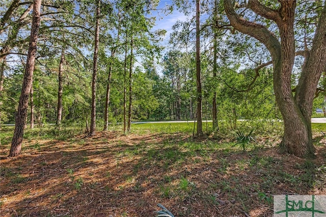 2290 Hunters Loop S, Hardeeville, SC 29927