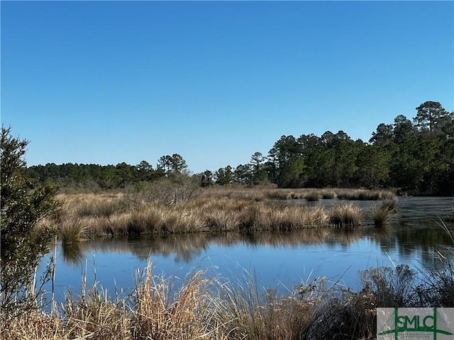 2290 Hunters Loop S, Hardeeville, SC 29927